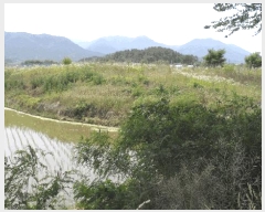  2025Ÿ431  ֽ õ ô 777-2      ()