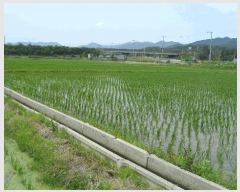  2025Ÿ431  ֽ õ ô 777-2      ()