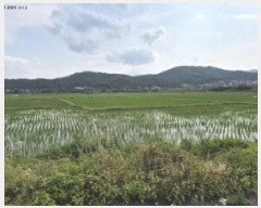  2025Ÿ431  ֽ õ ô 777-2      ()