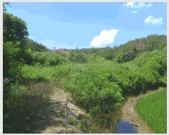  2025Ÿ��435 ��� ���ֽ� õ�ϸ� ȭ�긮 923      ����(��)���