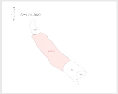  2025Ÿ��435 ��� ���ֽ� õ�ϸ� ȭ�긮 923      ����(��)���