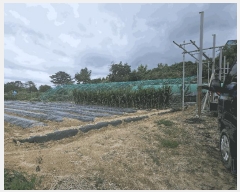  2025Ÿ439  ֽ ܵ  789-4      (1)