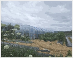  2025Ÿ439  ֽ ܵ  789-4      (1)