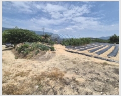  2025Ÿ439  ֽ ܵ  789-4      (1)