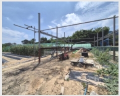  2025Ÿ439  ֽ ܵ  789-4      (1)