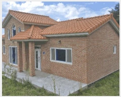  2025Ÿ��446  ���ð��