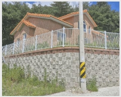  2025Ÿ��446  ���ð��