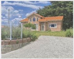  2025Ÿ��446  ���ð��