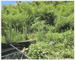  2025Ÿ��471  �����