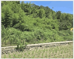  2025Ÿ��471  �����