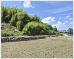  2025Ÿ��471  �����