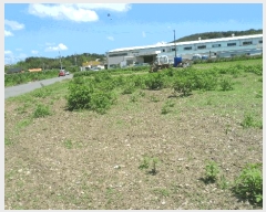  2025Ÿ��475 ��� ���ֽ� õ�ϸ� ���긮 83      ����(��1)���