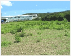  2025Ÿ��475 ��� ���ֽ� õ�ϸ� ���긮 83      ����(��1)���