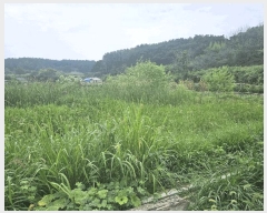  2025Ÿ��479 ��� ���ֽ� �Ȱ��� ��渮 681      ����(��)���