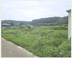  2025Ÿ��479 ��� ���ֽ� �Ȱ��� ��渮 681      ����(��)���