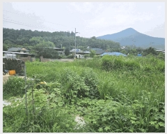  2025Ÿ��479 ��� ���ֽ� �Ȱ��� ��渮 681      ����(��)���