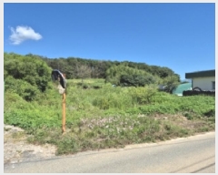  2025Ÿ��479 ��� ���ֽ� �Ȱ��� ��渮 681      ����(��)���