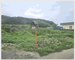  2025Ÿ��479 ��� ���ֽ� �Ȱ��� ��渮 681      ����(��)���