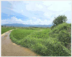  2025Ÿ��487 ��� ���ֽ� �ܵ��� ������ 894      ����(��)���