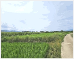  2025Ÿ��487 ��� ���ֽ� �ܵ��� ������ 894      ����(��)���