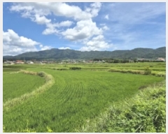  2025Ÿ��487 ��� ���ֽ� �ܵ��� ������ 894      ����(��)���