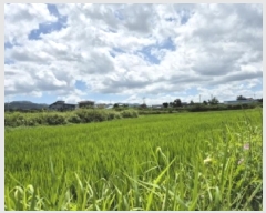  2025Ÿ��487 ��� ���ֽ� �ܵ��� ������ 894      ����(��)���