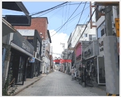  2025Ÿ��492  �ٸ����ð��