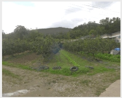  2025Ÿ��507 ��� ���ֽ� �Ȱ��� ��縮 62      ����(��1)���