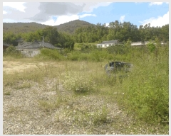  2025Ÿ��507 ��� ���ֽ� �Ȱ��� ��縮 62      ����(��1)���