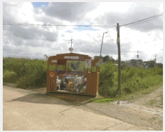  2025Ÿ��507 ��� ���ֽ� �Ȱ��� ��縮 62      ����(��1)���