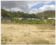  2025Ÿ��507 ��� ���ֽ� �Ȱ��� ��縮 62      ����(��1)���