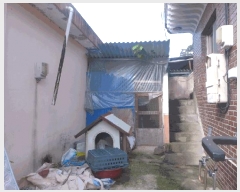  2025Ÿ��523  ���ð��