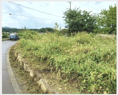  2025Ÿ��527  �����