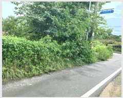  2025Ÿ��527  �����