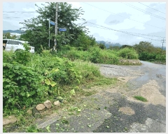  2025Ÿ��527  �����