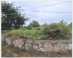  2025Ÿ��527  �����