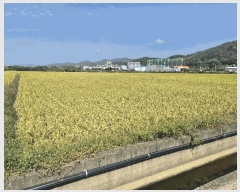  2025Ÿ��531 ��� ���ֽ� ��õ�� õ���� 356      ����(��)���