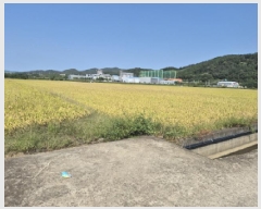  2025Ÿ��531 ��� ���ֽ� ��õ�� õ���� 356      ����(��)���