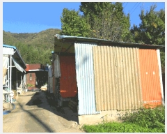  2025Ÿ��547 ��� ���ֽ� ������ ���縮 889      ���ð��