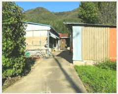  2025Ÿ��547 ��� ���ֽ� ������ ���縮 889      ���ð��