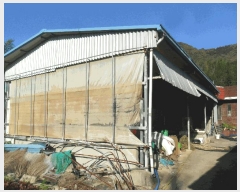  2025Ÿ��547 ��� ���ֽ� ������ ���縮 889      ���ð��