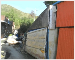  2025Ÿ��547 ��� ���ֽ� ������ ���縮 889      ���ð��