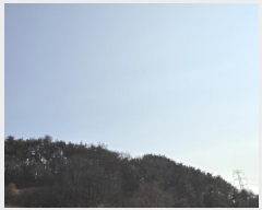  2025Ÿ10184  ֽ ո  36-2      (Ӿ)