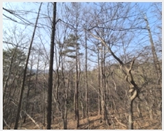  2025Ÿ10184  ֽ ո  36-2      (Ӿ)