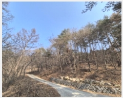  2025Ÿ10184  ֽ ո  36-2      (Ӿ)