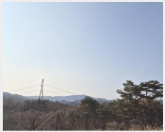  2025Ÿ10184  ֽ ո  36-2      (Ӿ)