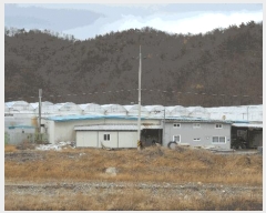  2025Ÿ10376  ֽ 糲 ȯ 342-1      ,â