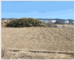  2025Ÿ10408  ֽ 浿 258-2       ()