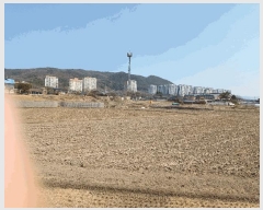  2025Ÿ10408  ֽ 浿 258-2       ()