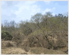  2025Ÿ��10420 ��� ���ֽ� ������ ������ 939-1      ����(��1)���